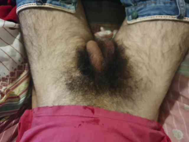 bomvemcam