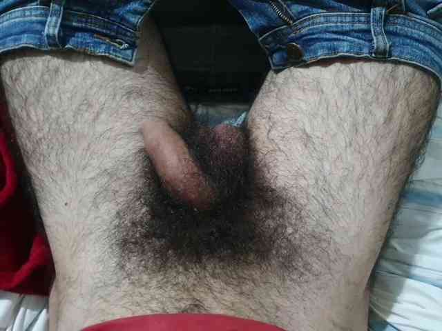 bomvemcam