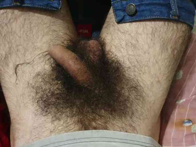bomvemcam