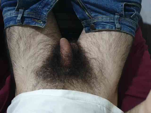 bomvemcam