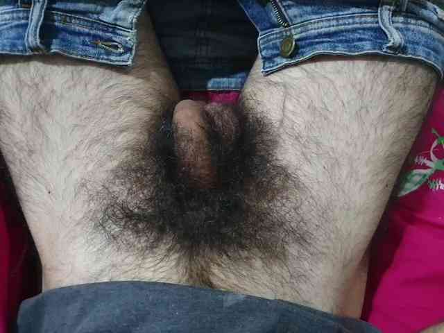 bomvemcam