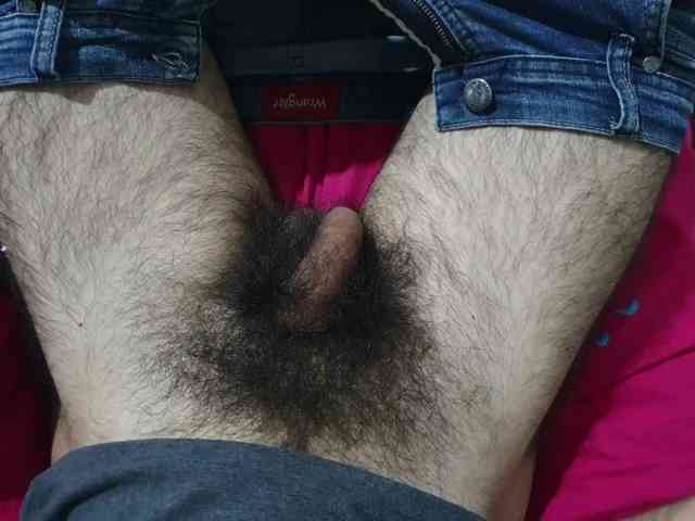 bomvemcam