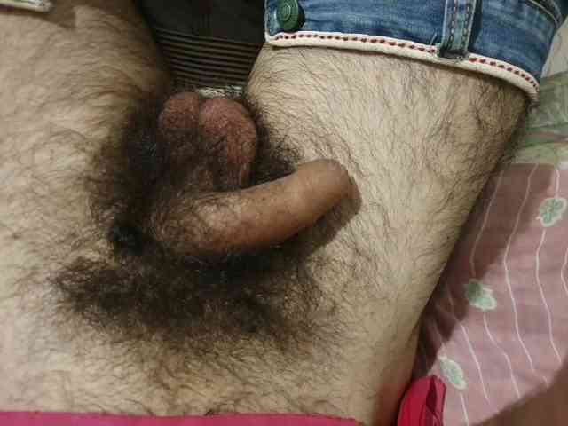 bomvemcam