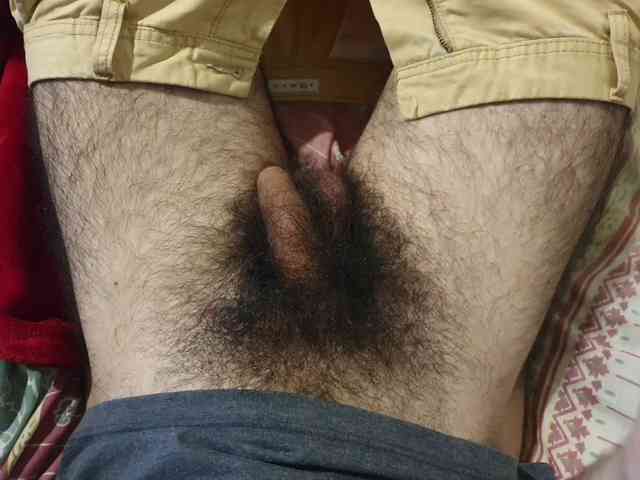 bomvemcam