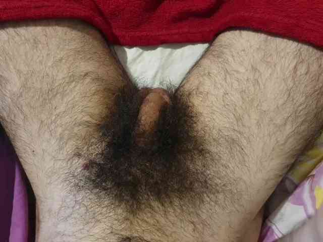 bomvemcam