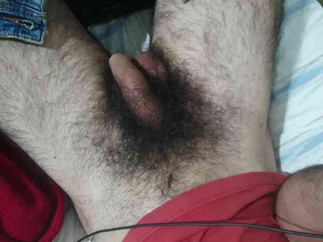 bomvemcam