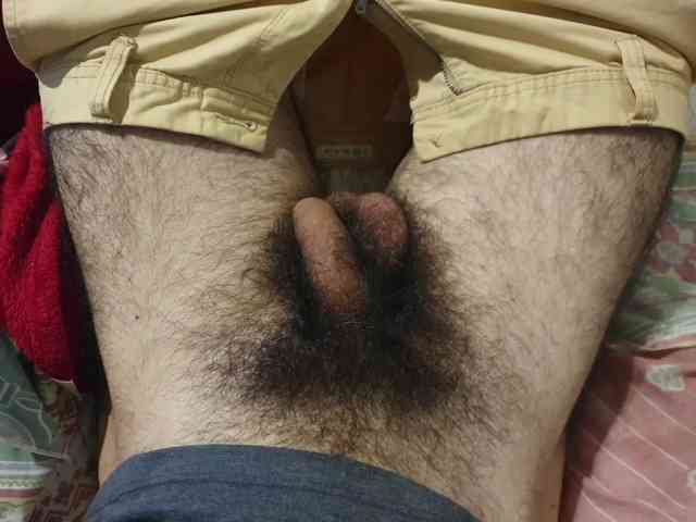 bomvemcam