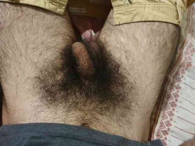 bomvemcam