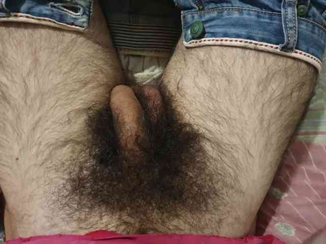 bomvemcam bomvemcam