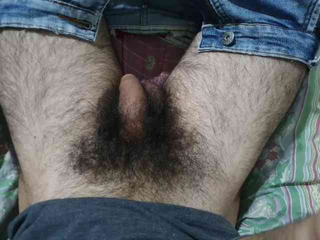 bomvemcam