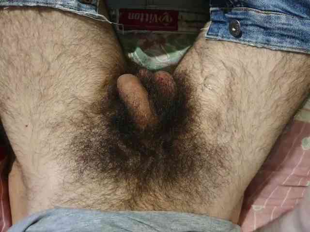 bomvemcam