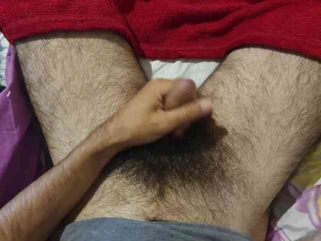 bomvemcam