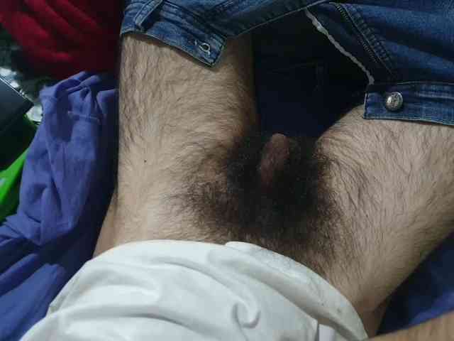 bomvemcam