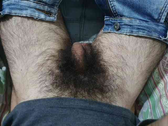 bomvemcam