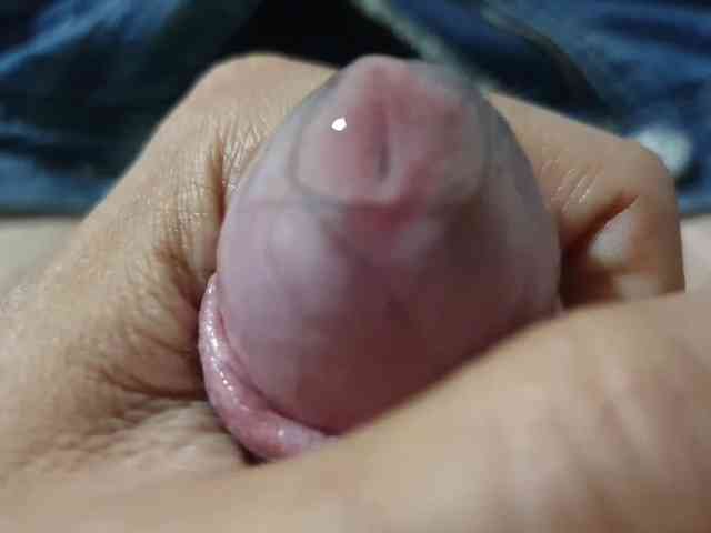 bomvemcam