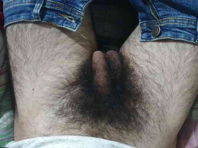 bomvemcam