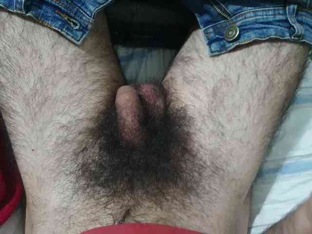 bomvemcam