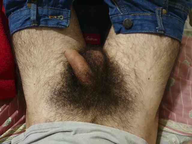 bomvemcam