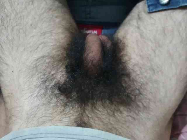 bomvemcam