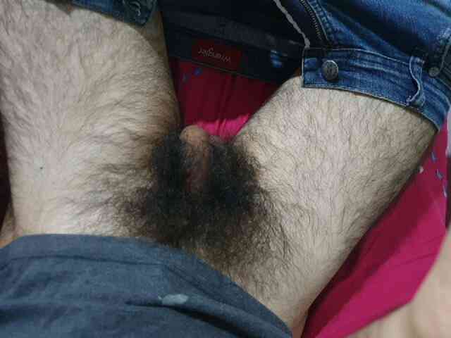 bomvemcam
