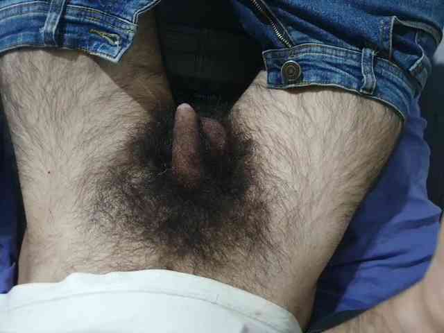 bomvemcam