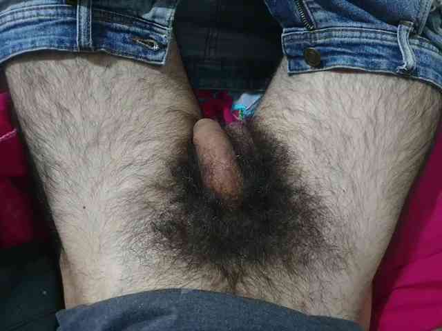 bomvemcam