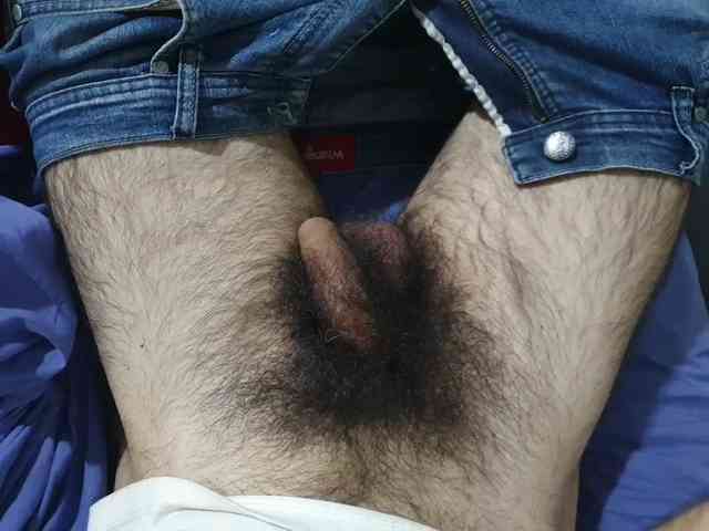 bomvemcam
