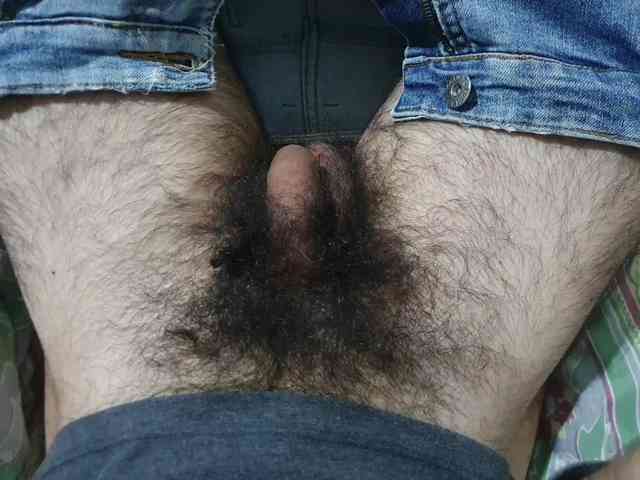 bomvemcam