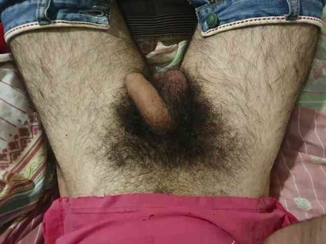 bomvemcam