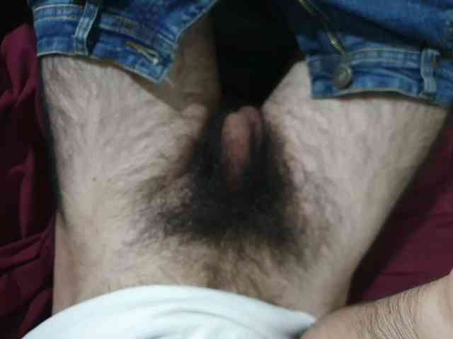 bomvemcam