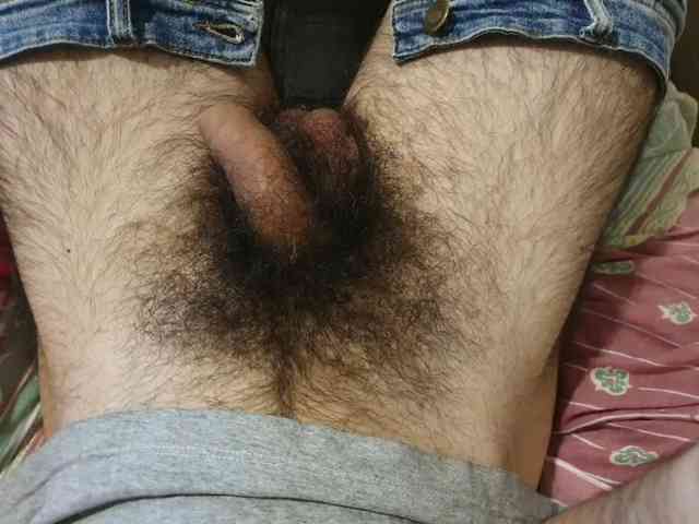 bomvemcam