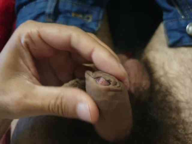 bomvemcam