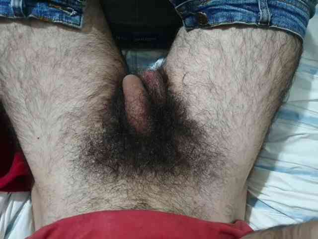 bomvemcam