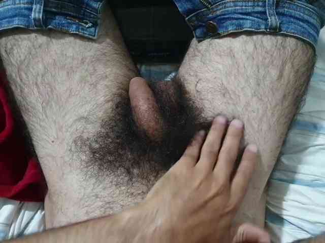 bomvemcam