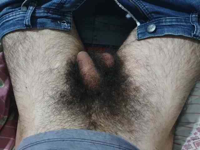 bomvemcam