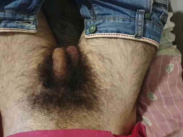 bomvemcam