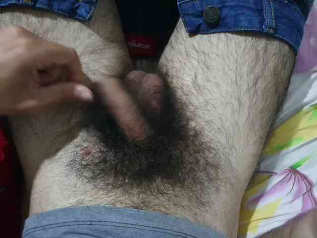 bomvemcam