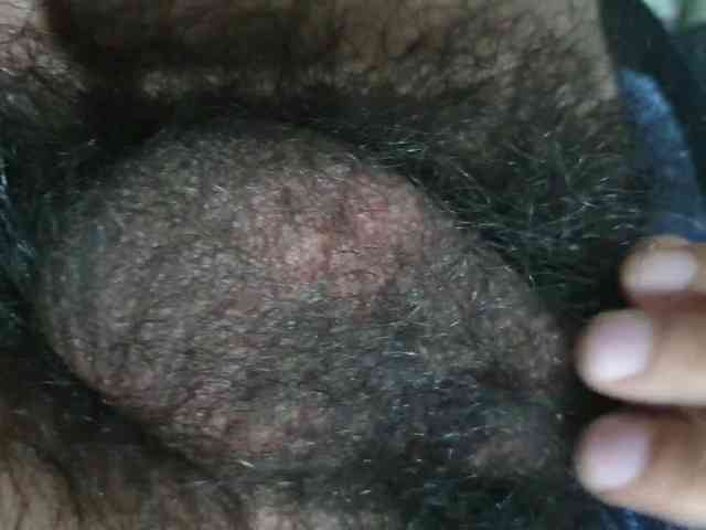 bomvemcam