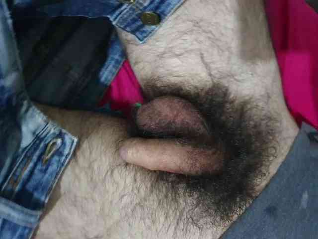 bomvemcam