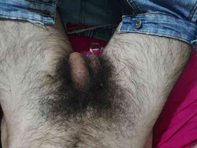 bomvemcam