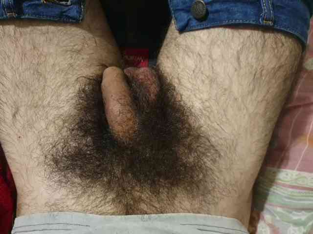 bomvemcam