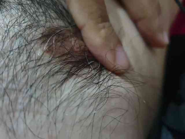 bomvemcam