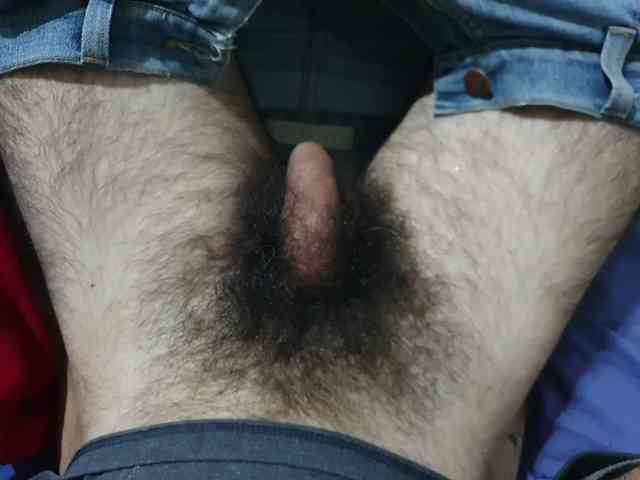 bomvemcam