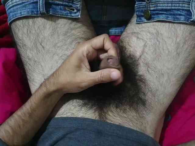 bomvemcam bomvemcam