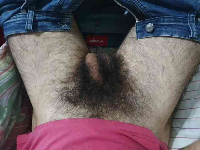 bomvemcam