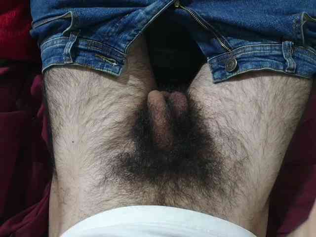 bomvemcam