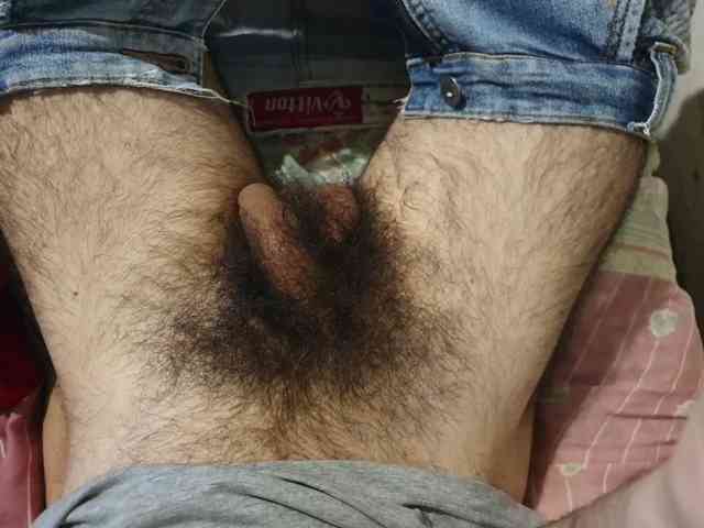 bomvemcam