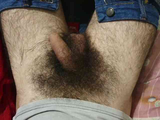 bomvemcam