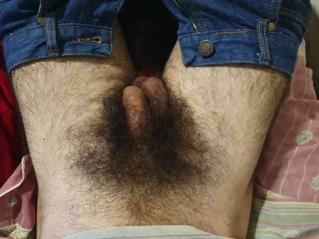 bomvemcam