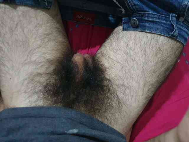 bomvemcam